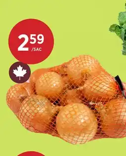 Kim Phat ONIONS offer