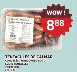 Kim Phat MARCOPOLO SQUID TENTACLES offer