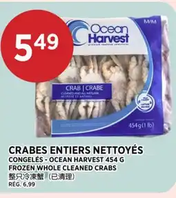 Kim Phat OCEAN HARVEST FROZEN WHOLE CLEANED CRABS offer