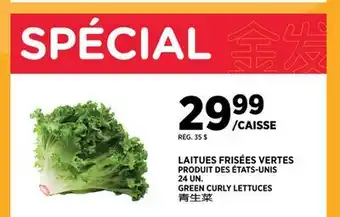 Kim Phat GREEN CURLY LETTUCES offer