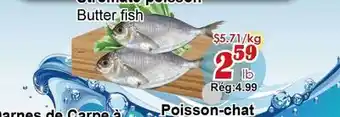 Marche C&T Poisson-chat offer