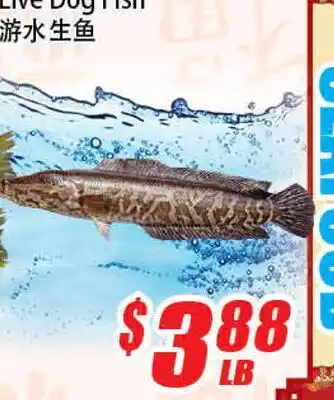 WinCo Food Mart Live Dog Fish offer