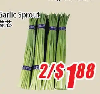 WinCo Food Mart Garlic Sprout offer