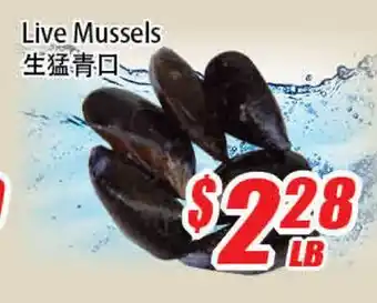 WinCo Food Mart Live Mussels offer