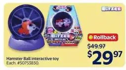 Walmart Hamster Ball interactive toy offer