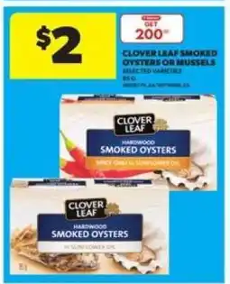 Real Canadian Superstore CLOVER LEAF SMOKED OYSTERS or MUSSELS offer