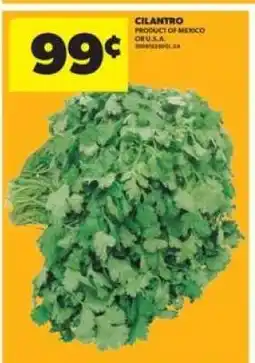 Real Canadian Superstore CILANTRO offer