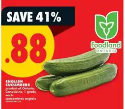 No Frills ENGLISH CUCUMBERS offer