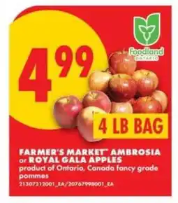 No Frills Farmer's Market Ambrosia or Royal Gala Apples offer
