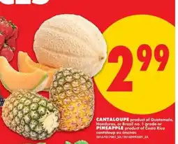 No Frills CANTALOUPE or PINEAPPLE offer