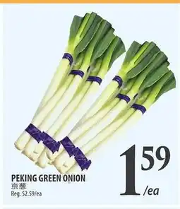Al Premium Food Mart PEKING GREEN ONION offer