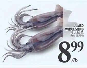 Al Premium Food Mart JUMBO WHOLE SQUID offer