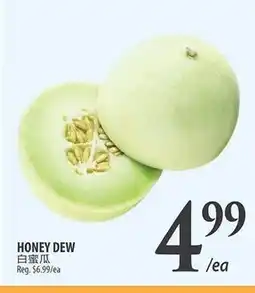 Al Premium Food Mart HONEY DEW offer