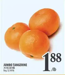 Al Premium Food Mart JUMBO TANGERINE offer