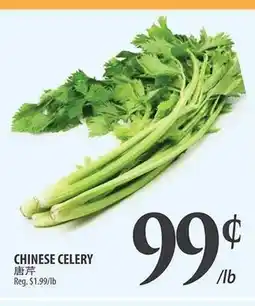 Al Premium Food Mart CHINESE CELERY offer
