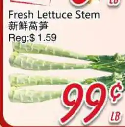 Foody Mart Fresh Lettuce Stem offer