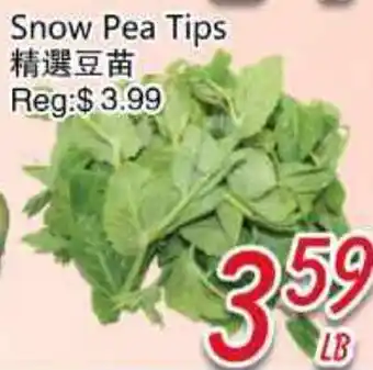 Foody Mart Snow Pea Tips offer