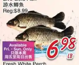Foody Mart E Vivo Gold Fish offer