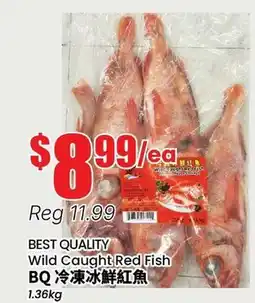 Btrust Supermarket BEST QUALITY Wild Caught Red Fish offer
