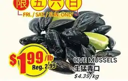 Btrust Supermarket LIVE MUSSELS offer