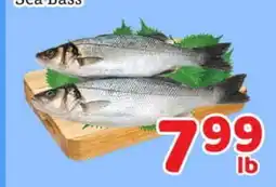Fresh Value Sea Bass offer