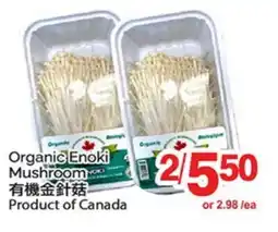 T&T Supermarket ORGANIC ENOKI MUSHROOM offer