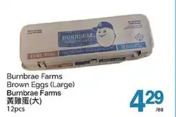 T&T Supermarket BURNBRAE FARMS BROWN EGGS, 12PCS offer