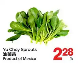 T&T Supermarket YU CHOY SPROUTS offer