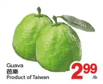 T&T Supermarket GUAVA offer