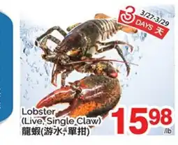T&T Supermarket LOBSTER offer