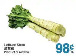 T&T Supermarket LETTUCE STEM offer