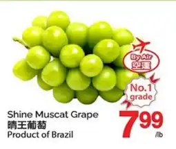 T&T Supermarket SHINE MUSCAT GRAPE offer