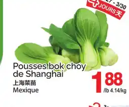 T&T Supermarket POUSSES BOK CHOY DE SHANGHAI offer