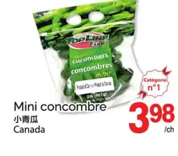 T&T Supermarket MINI CONCOMBRE offer