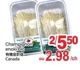 T&T Supermarket CHAMPIGNON ENOKI BIO offer