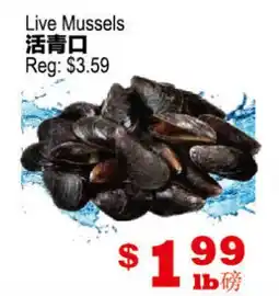 Yuan Ming Supermarket Live Mussels offer