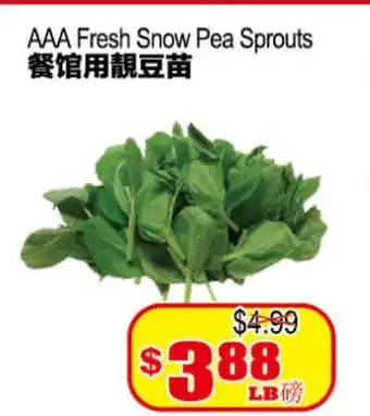 Yuan Ming Supermarket AAA Fresh Snow Pea Sprouts offer