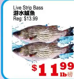Yuan Ming Supermarket Live Strip Bass offer