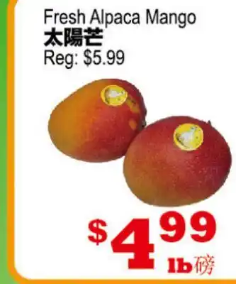 Yuan Ming Supermarket Fresh Alpaca Mango offer