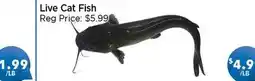 Blue Sky Supermarket Live Cat Fish offer
