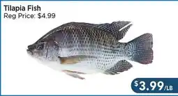 Blue Sky Supermarket Tilapia Fish offer