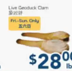 Oceans Fresh Food Market Live Geoduck Clam offer