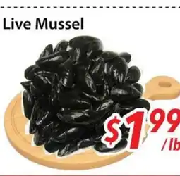 Bestco Food Mart Live Mussel offer