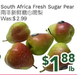 Ample Food Market South Africa Fresh Sugar Pear offer