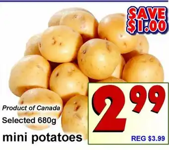 Mini Potatoes