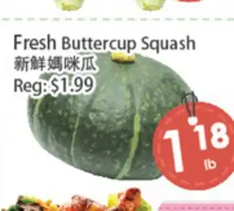Fresh Palace Supermarket Fresh Buttercup Squash offer