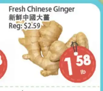 Fresh Palace Supermarket Fresh Chinese Ginger offer