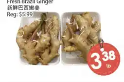 Fresh Palace Supermarket Fresh Brazil Ginger offer