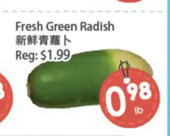 Fresh Palace Supermarket Fresh Green Radish offer