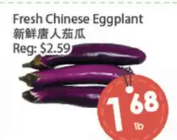 Fresh Palace Supermarket Fresh Chinese Eggplant offer